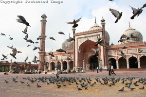 jamil-masjid-delhi