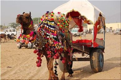 rajasthan tour by car and driver